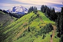 Hiking Toward Mt. Baker on Skyline Divide (h2)